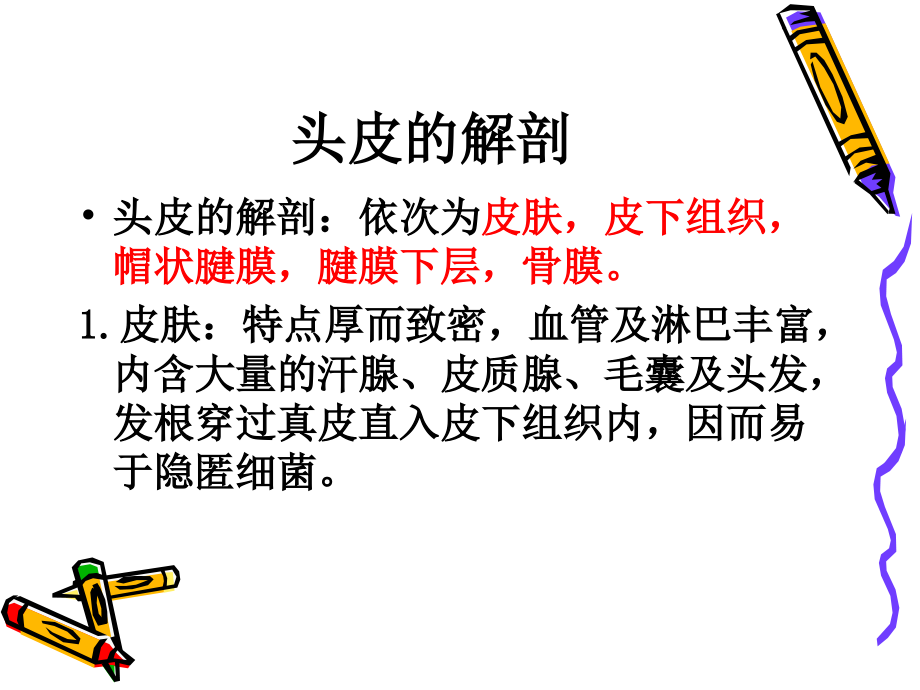 医学课件神经外科解剖.ppt_第1页