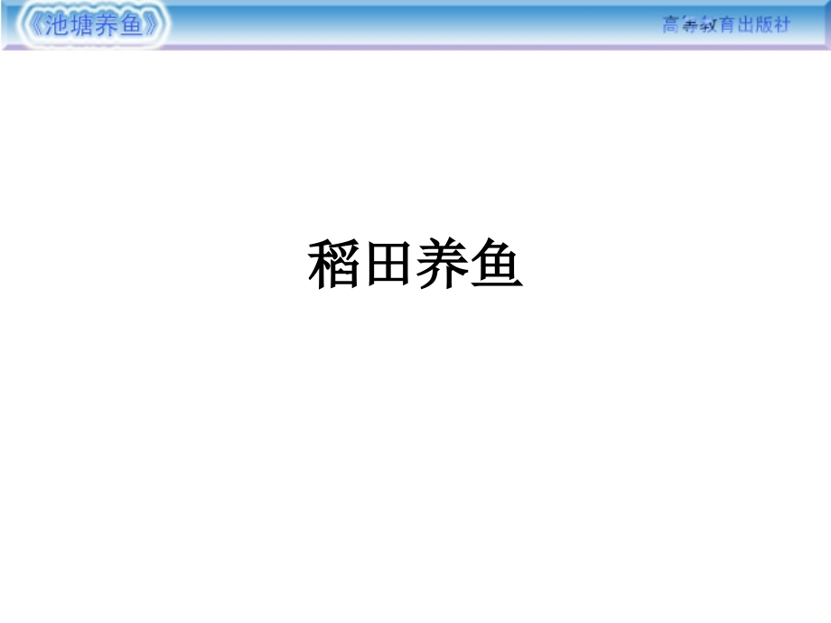 稻田养鱼.ppt_第1页