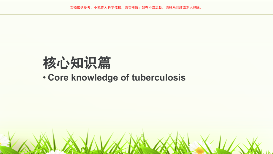 学校结核病健康教育和促进培训课件.ppt_第2页