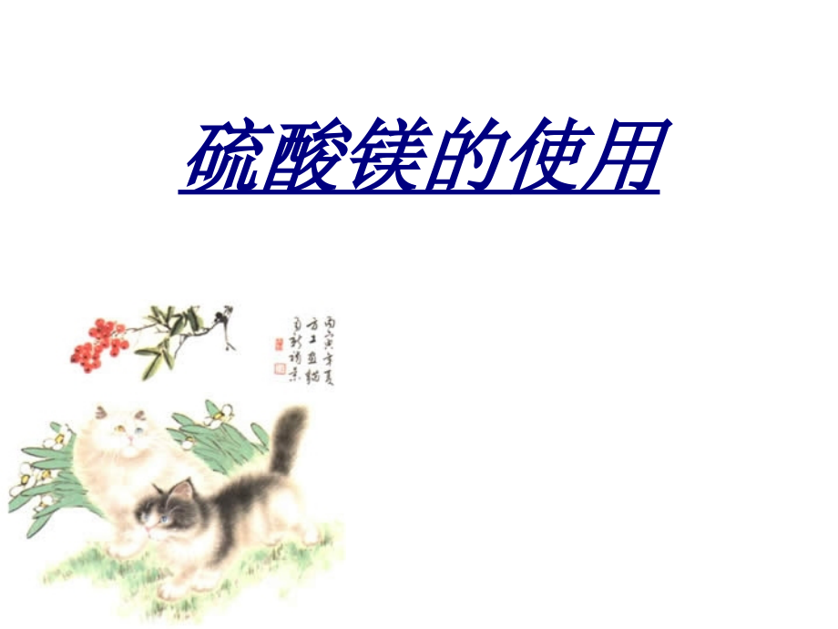 硫酸镁的使用讲义.ppt_第1页