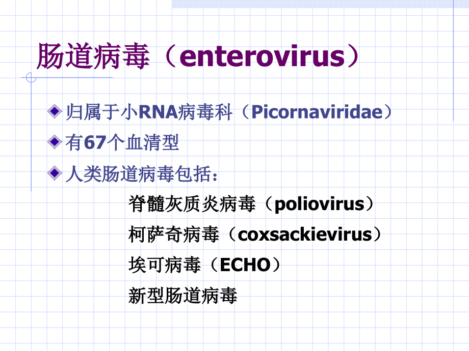 肠道病毒a-.ppt_第1页