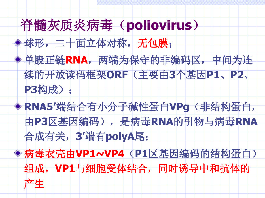 肠道病毒a-.ppt_第2页