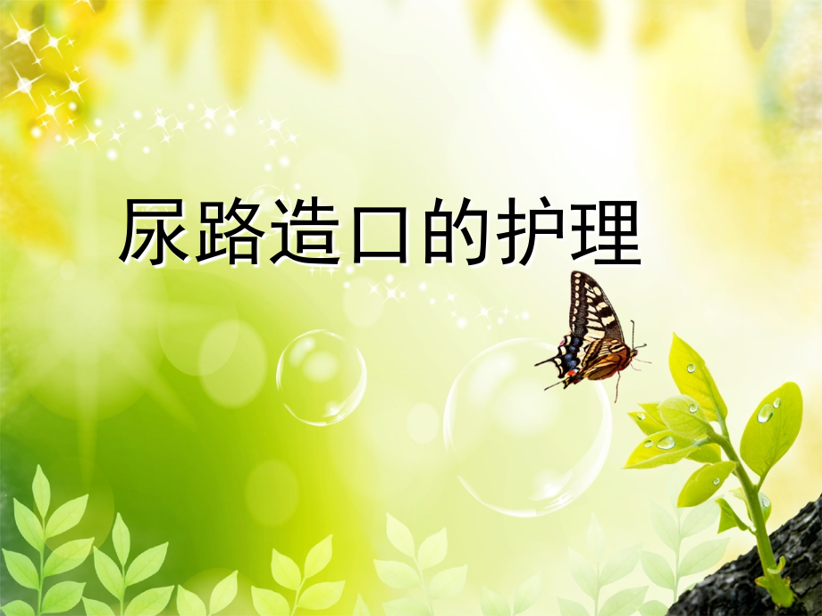 尿路造口护理.ppt_第1页