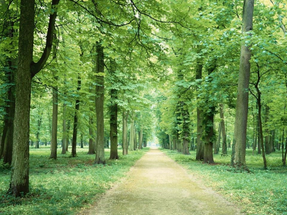 单纯甲状腺肿.ppt_第1页