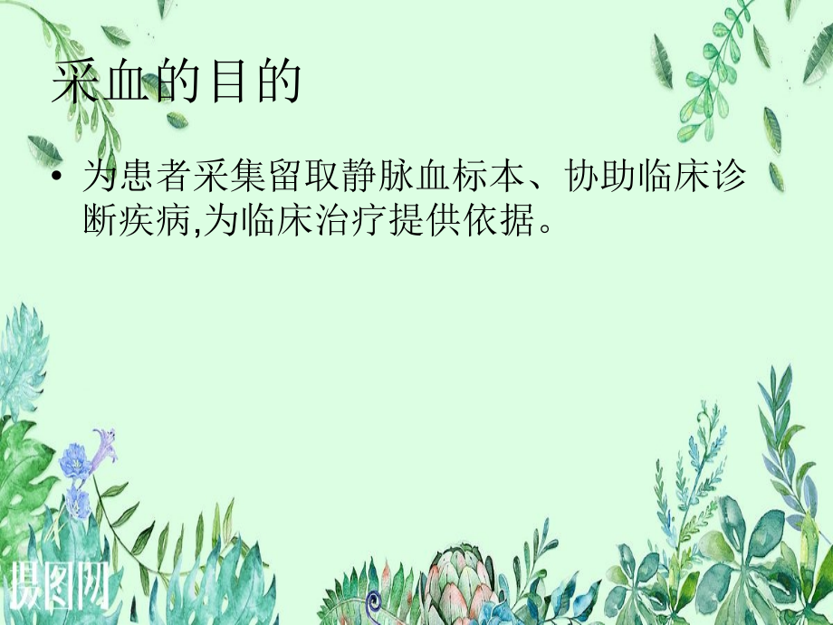 医学静脉采血留置针静脉输液操作流程PPT.ppt_第2页