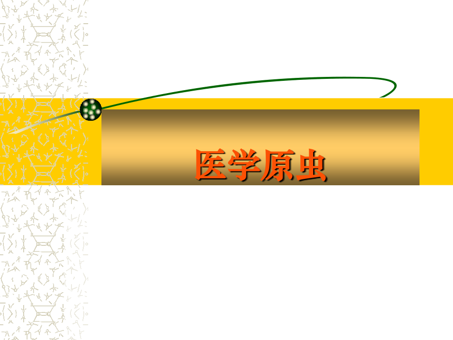 第九部分原虫.ppt_第1页