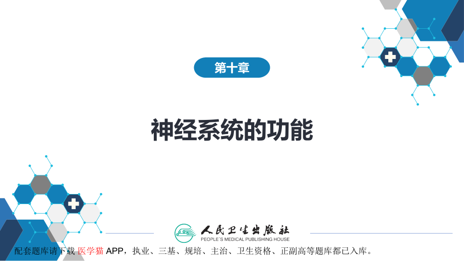 神经系统的功能.pptx_第2页