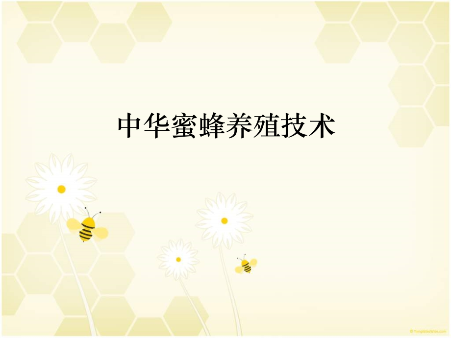 蜜蜂养殖技术.ppt_第1页