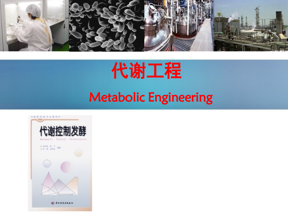 第四章代谢工程的基本思想.ppt_第1页