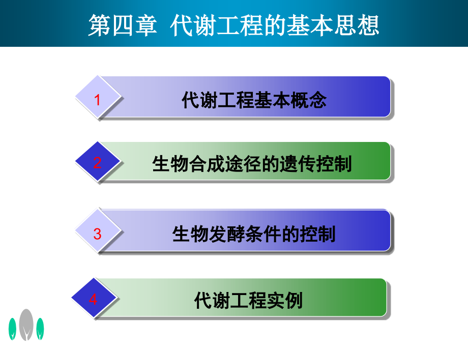 第四章代谢工程的基本思想.ppt_第2页