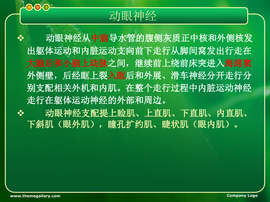 医学课件动眼神经麻痹总结.ppt_第1页