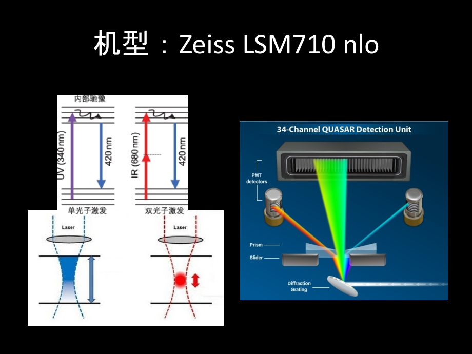 双光子和光谱扫描在激光共聚焦显微镜上的应用经验-.ppt_第2页