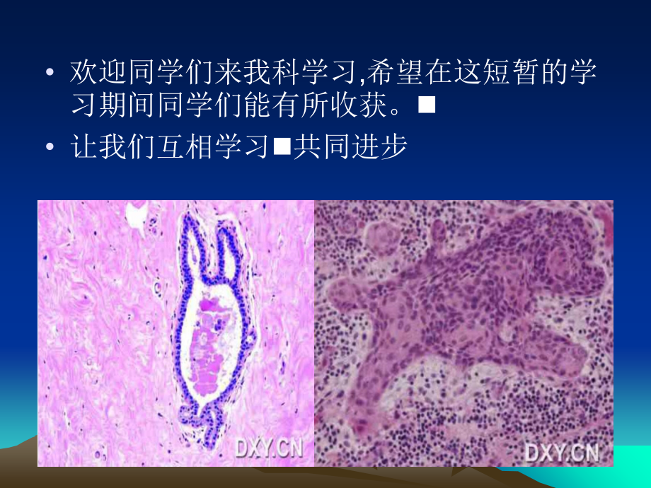 病理科入科教育-.ppt_第2页