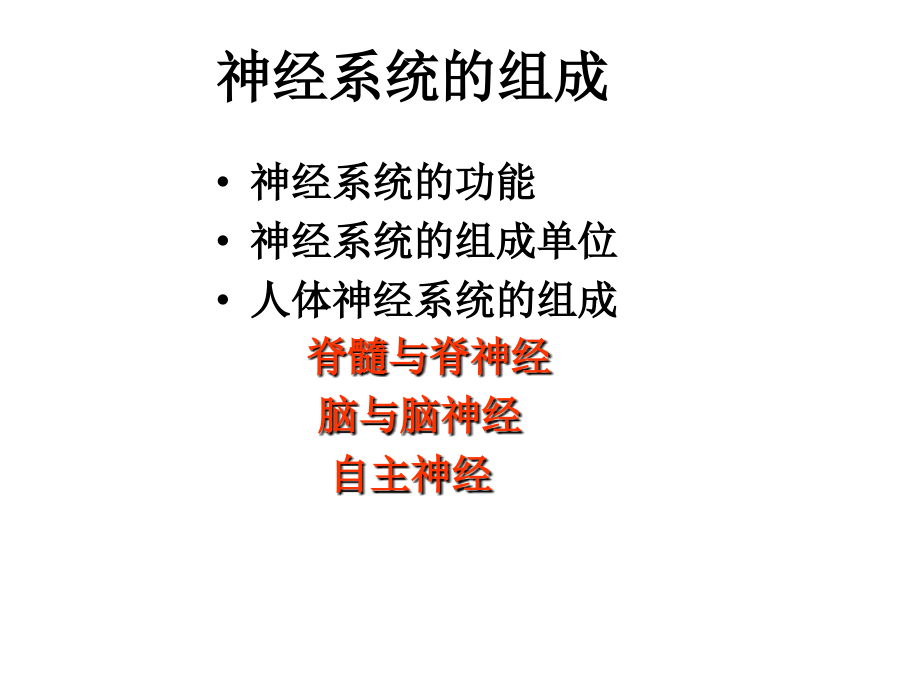 神经系统组成.ppt_第1页
