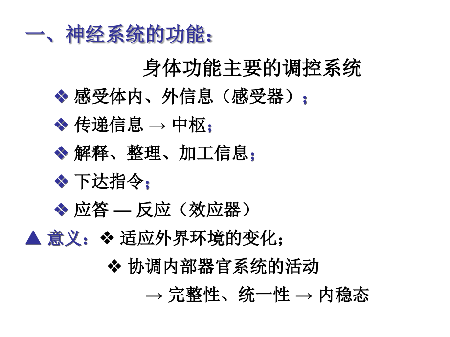 神经系统组成.ppt_第2页