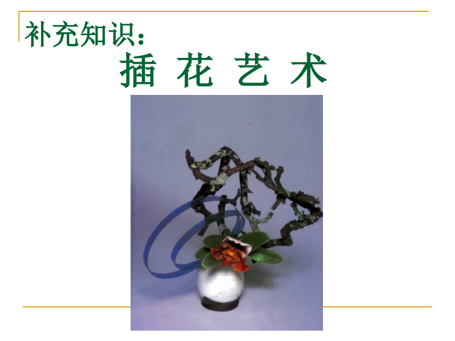 插花艺术概述.ppt_第1页
