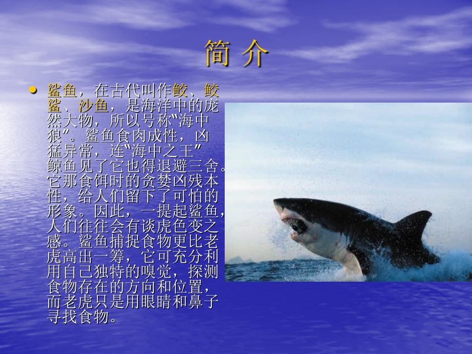 海中霸王---鲨鱼[1]课件.ppt_第2页