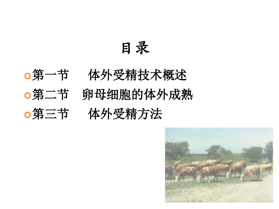 第六章-动物体外受精技术.ppt_第2页