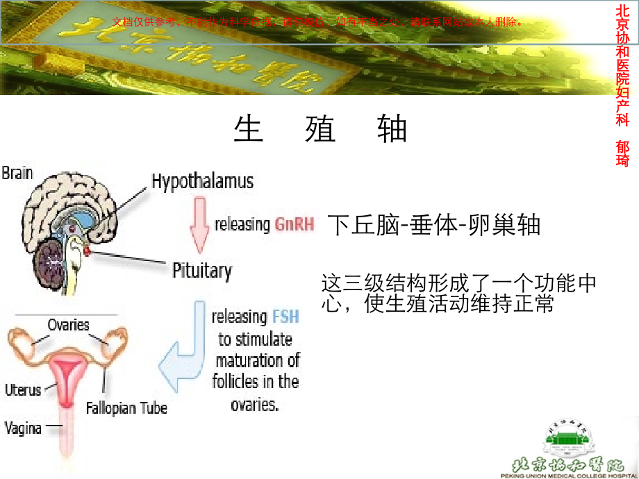 激素测定和妇科内分泌课件.ppt_第1页