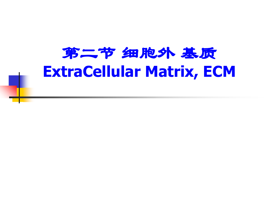 细胞外基质知识讲座优质PPT课件.ppt_第2页