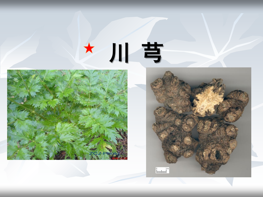 中药学第12节活血化瘀药-.ppt_第2页