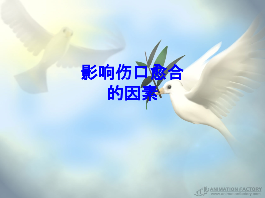 影响伤口愈合的因素PPT培训课件.ppt_第1页