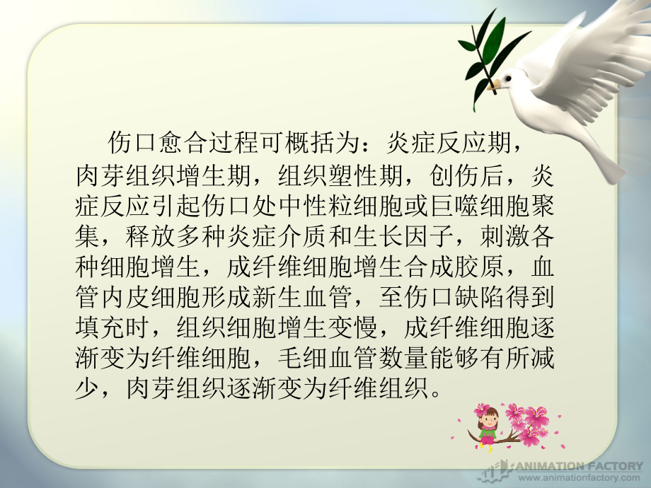 影响伤口愈合的因素PPT培训课件.ppt_第2页