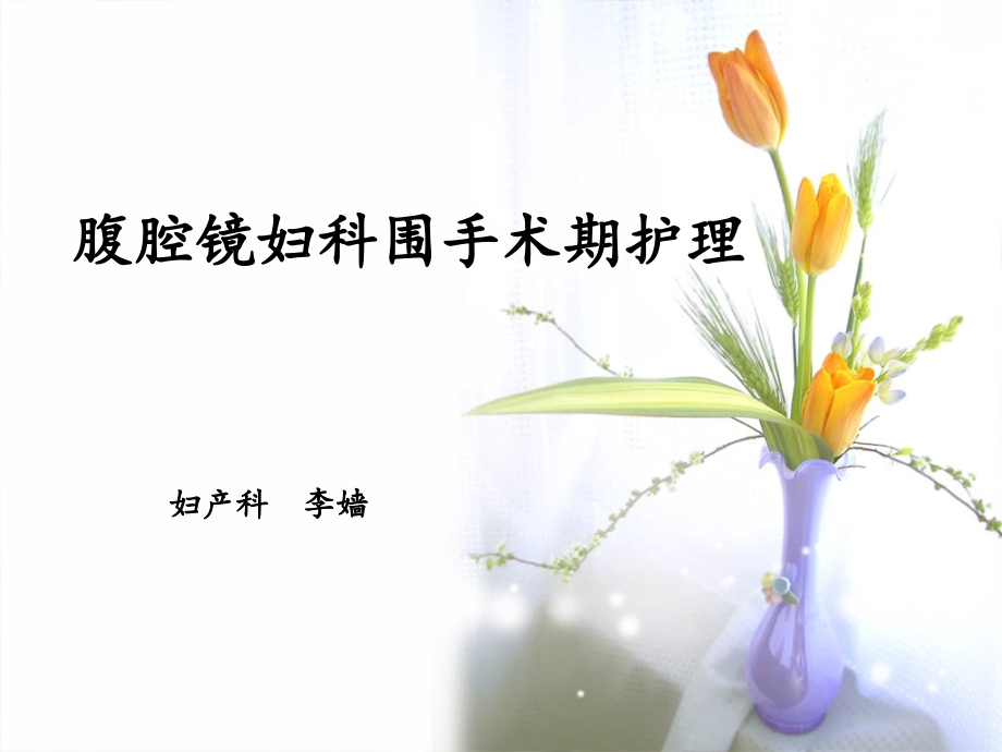妇科腹腔镜手术的护理-.ppt_第1页