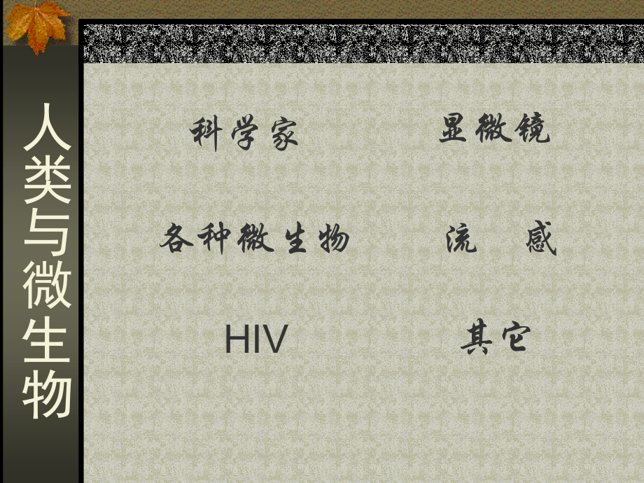 人类与微生物.ppt_第1页