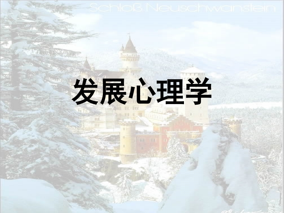 发展心理学-.ppt_第1页