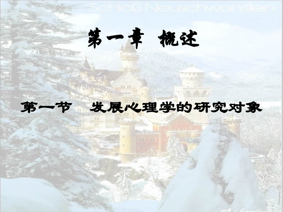 发展心理学-.ppt_第2页