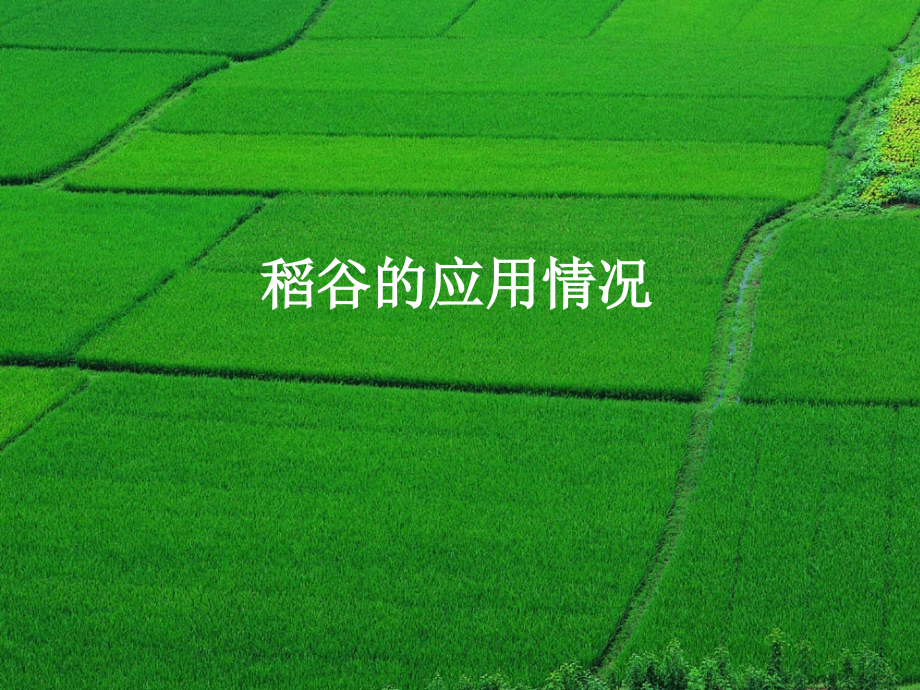 稻谷的综合利用.ppt_第1页