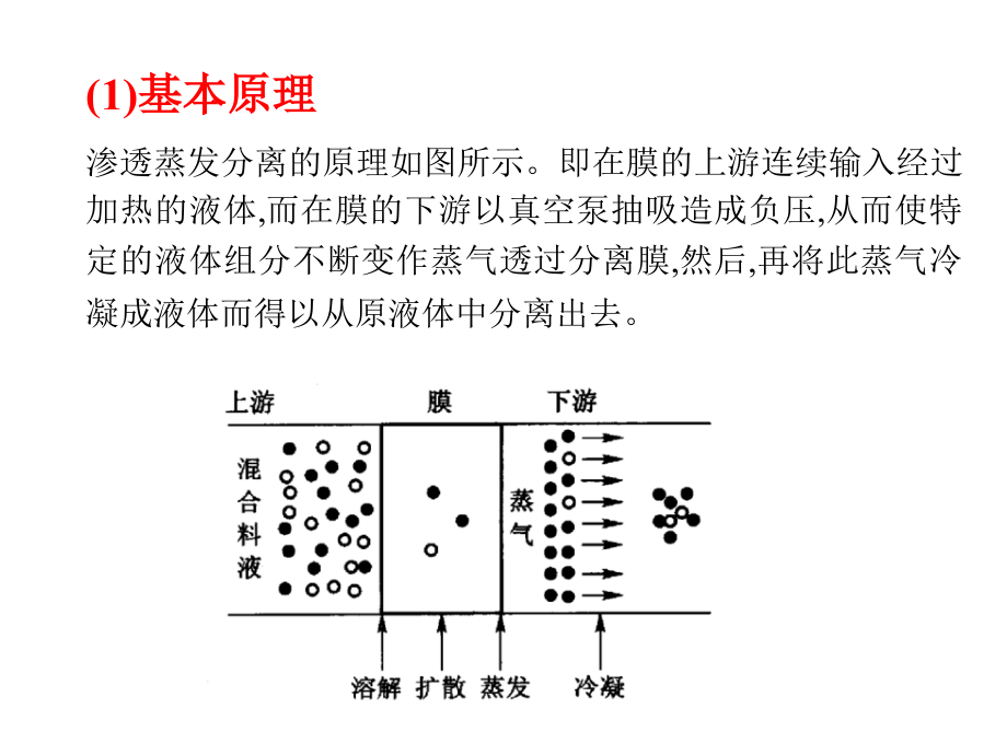 第八章-渗透汽化膜技术.ppt_第2页