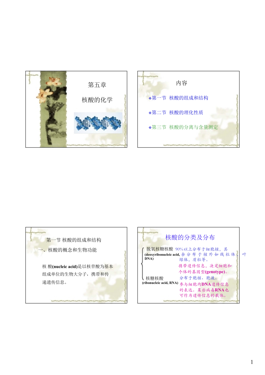第五章-核酸的化学.ppt_第1页