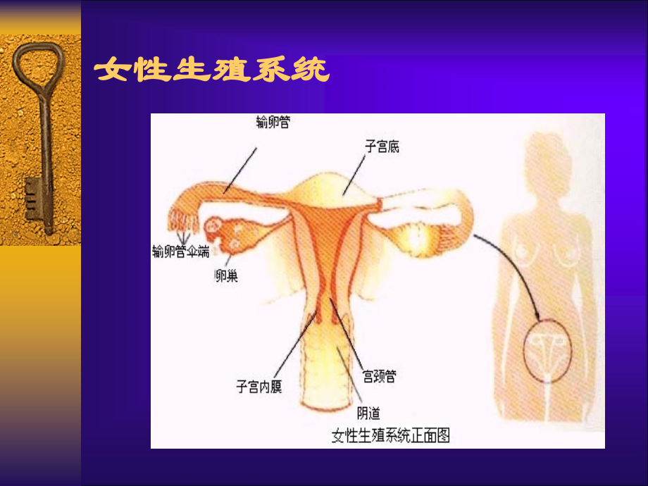 医学课件生殖健康和不孕症.ppt_第1页