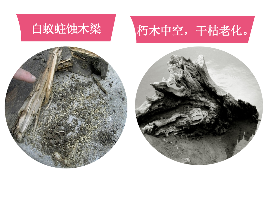 骨质疏松症的健康宣教-.ppt_第2页