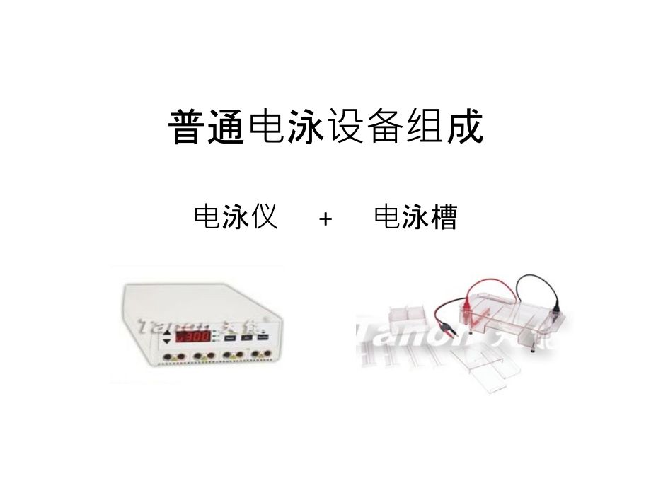 普通电泳的原理.ppt_第2页