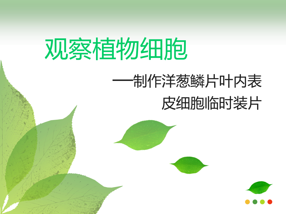 人教版生物七年级上册《观察植物细胞》说课课件.ppt_第1页