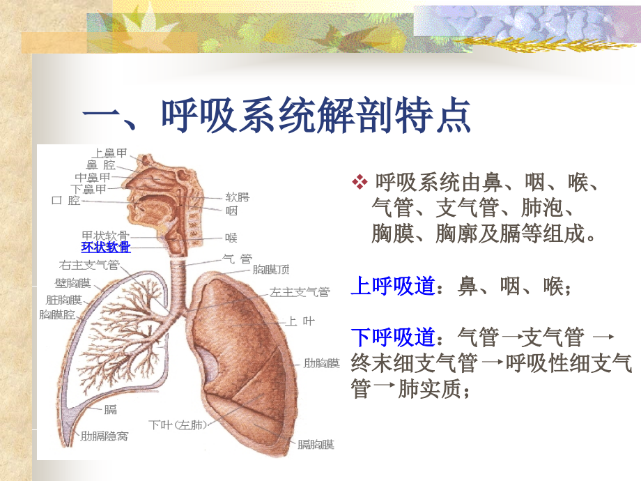 医学课件呼吸系统疾病常见症状体征的护理.ppt_第1页