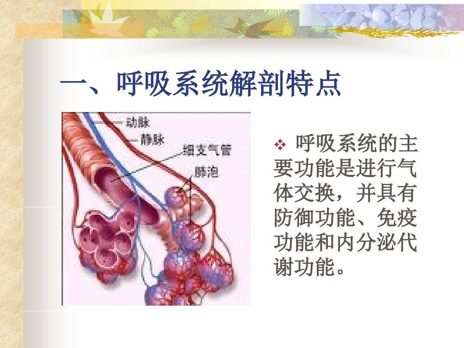 医学课件呼吸系统疾病常见症状体征的护理.ppt_第2页