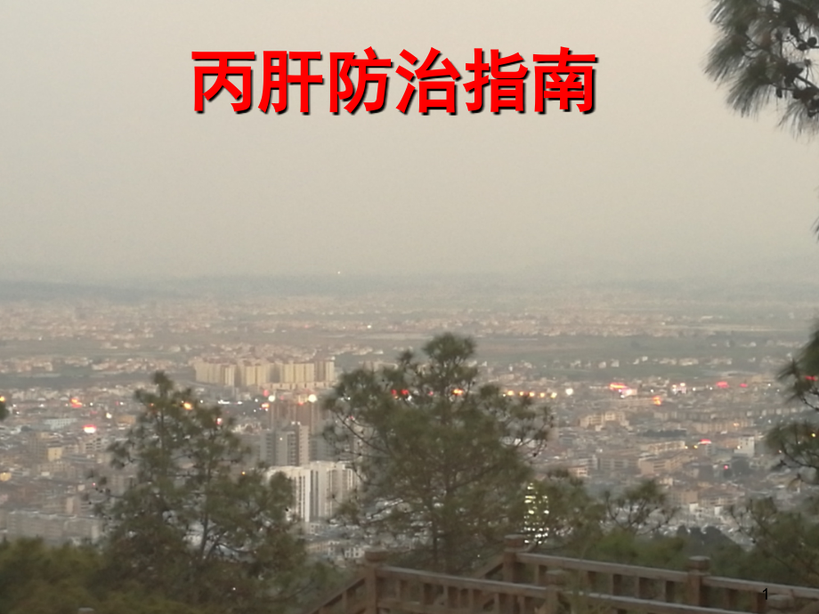 丙肝防治指南.ppt_第1页
