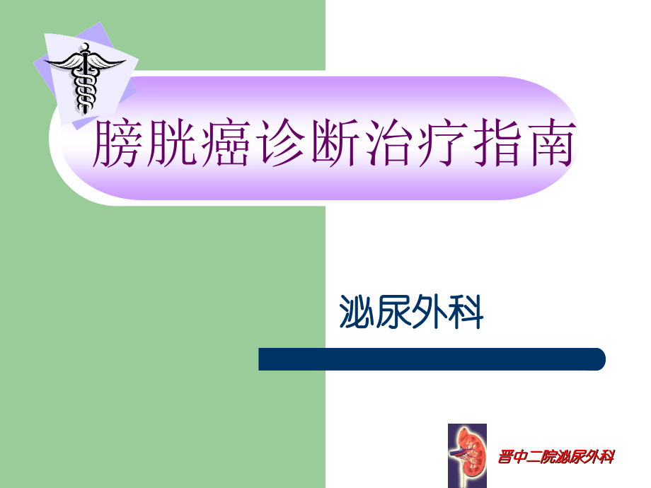 膀胱癌诊断治疗指南wj-.ppt_第1页