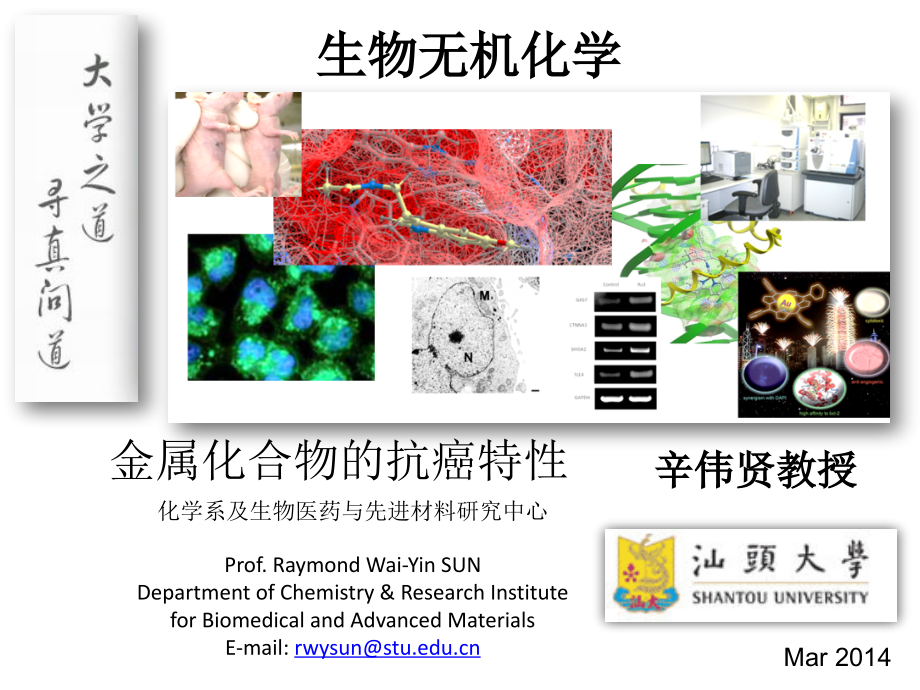 1.-生物无机化学-(金属化合物的抗癌特性).pptx_第1页