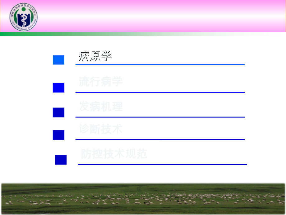 非洲猪瘟流行病学.ppt_第1页