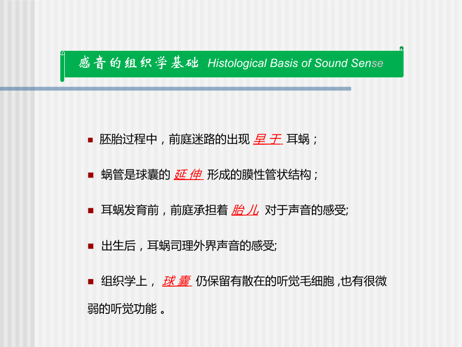 前庭系统的功能解剖学主题讲座课件.ppt_第1页