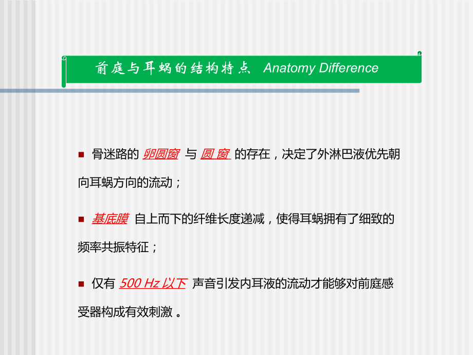 前庭系统的功能解剖学主题讲座课件.ppt_第2页