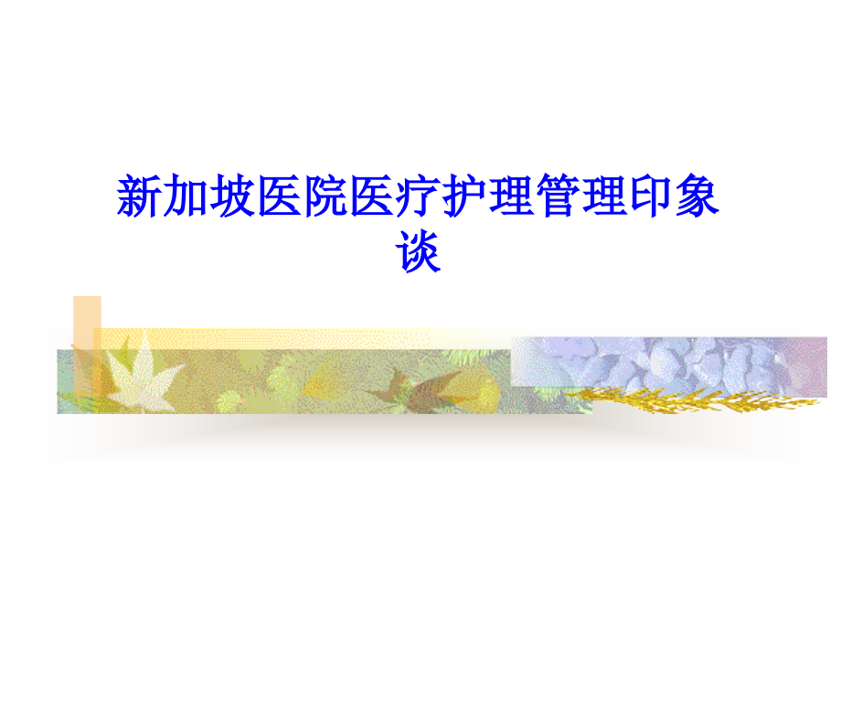 新加坡医院医疗护理管理印象谈PPT培训课件.ppt_第1页
