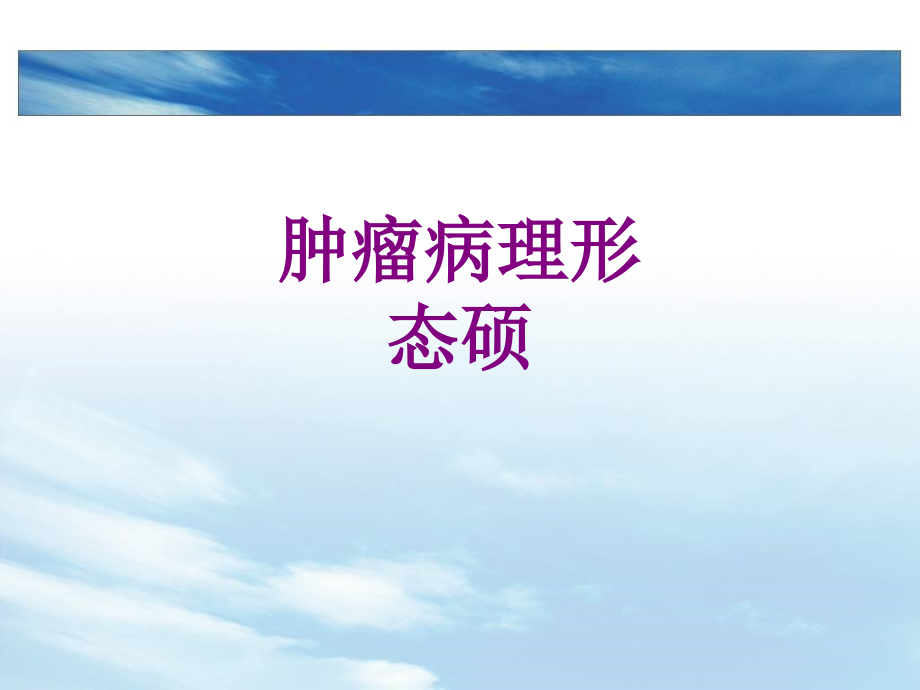 肿瘤病理形态硕优质PPT课件.ppt_第1页