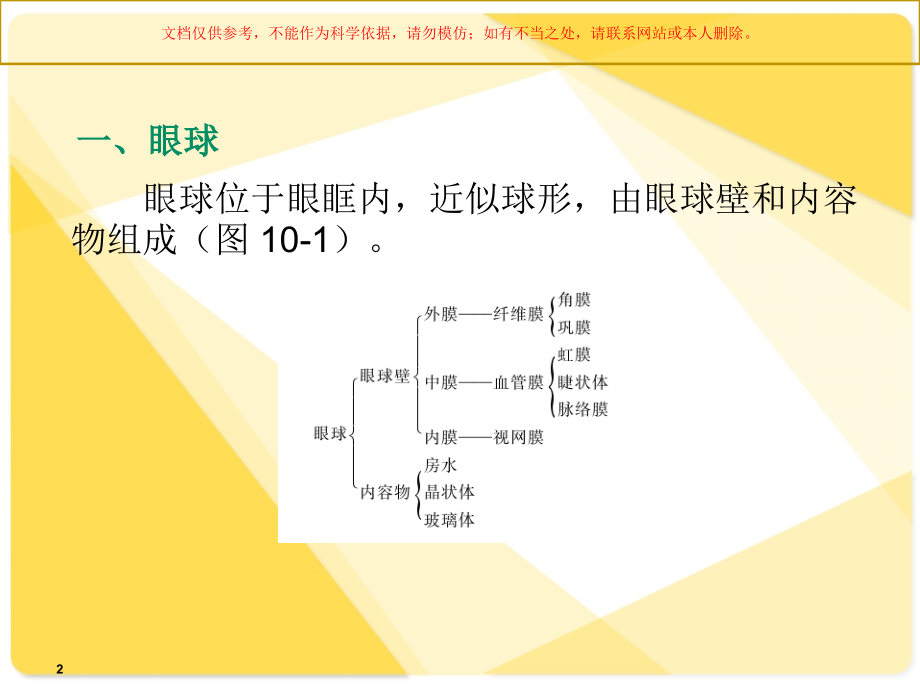 解剖学基础感觉器官课件.ppt_第2页