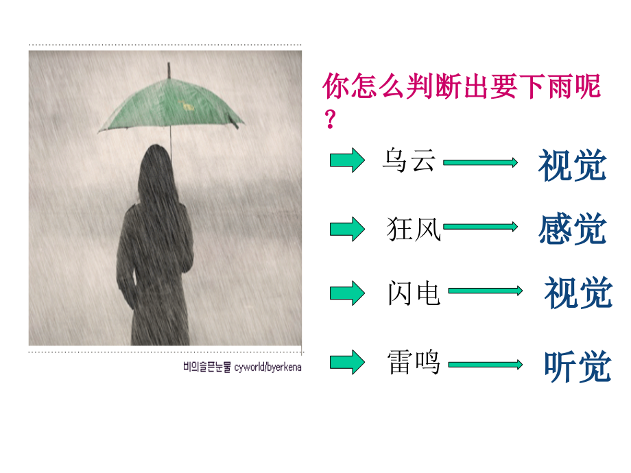 人教版七年级下册生物学第六章第一节人体对外界环境的感知.ppt_第2页